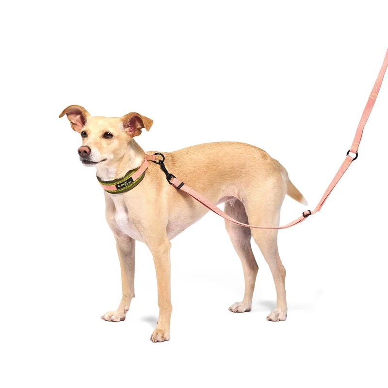 C-1 Zugstopp Halsband Air-Mesh AKTIV, Neon Green/Peach