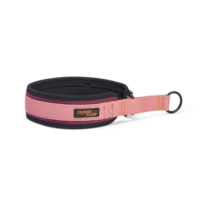C-1 Zugstopp Halsband AKTIV Softshell, Aubergine/Soft Rose