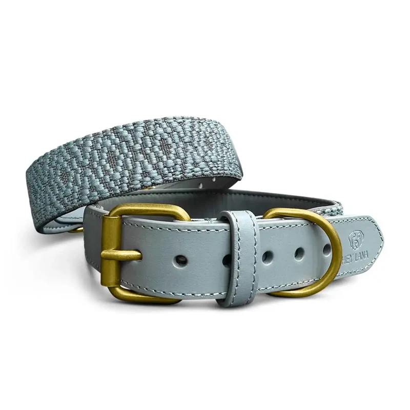 Hundehalsband, Anthrazit/Eisblau