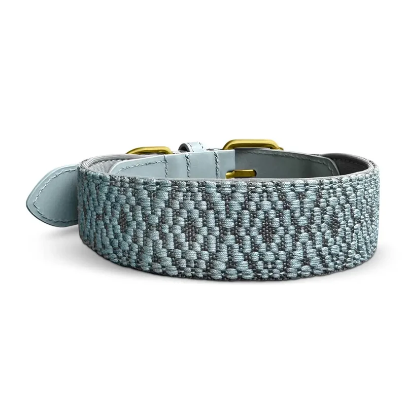 Hundehalsband, Anthrazit/Eisblau
