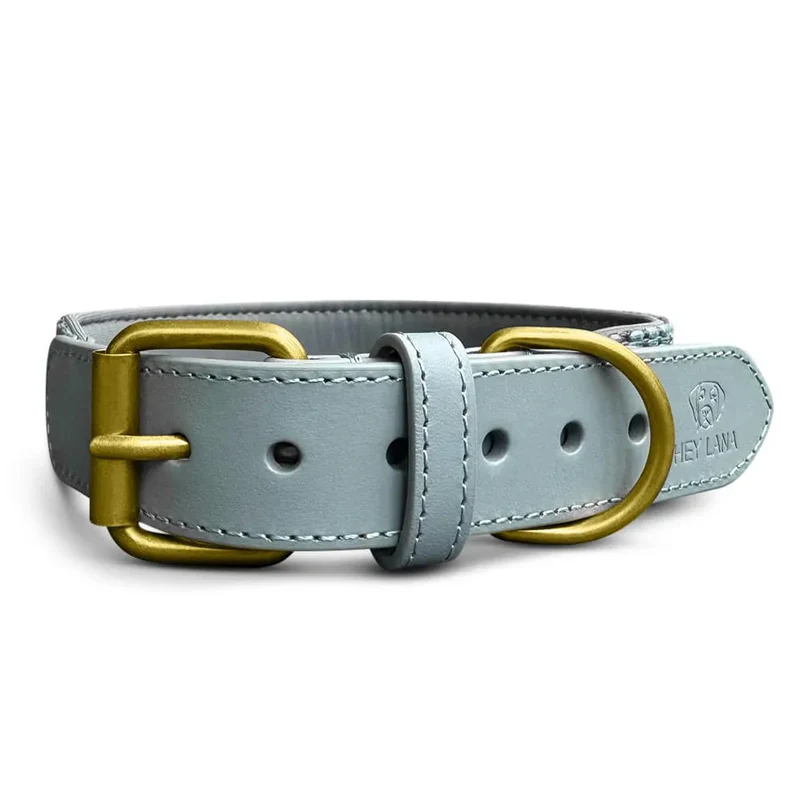Hundehalsband, Anthrazit/Eisblau