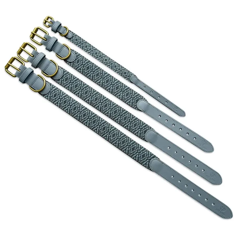 Hundehalsband, Anthrazit/Eisblau