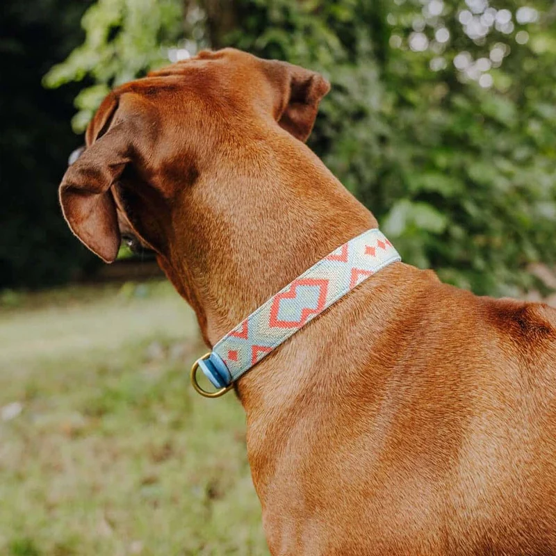 Hundehalsband, Coral/Blau