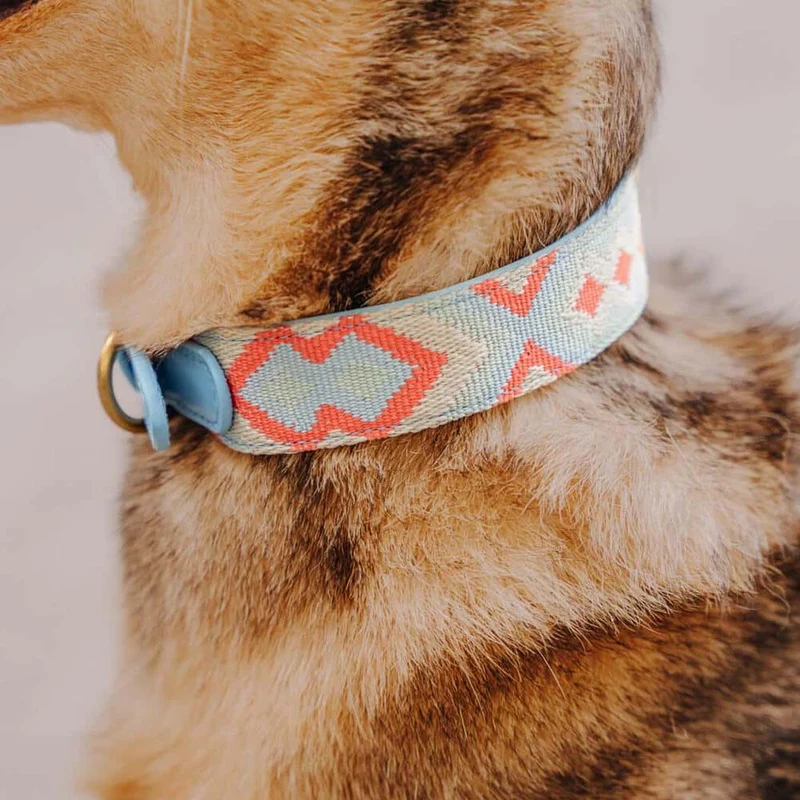 Hundehalsband, Coral/Blau