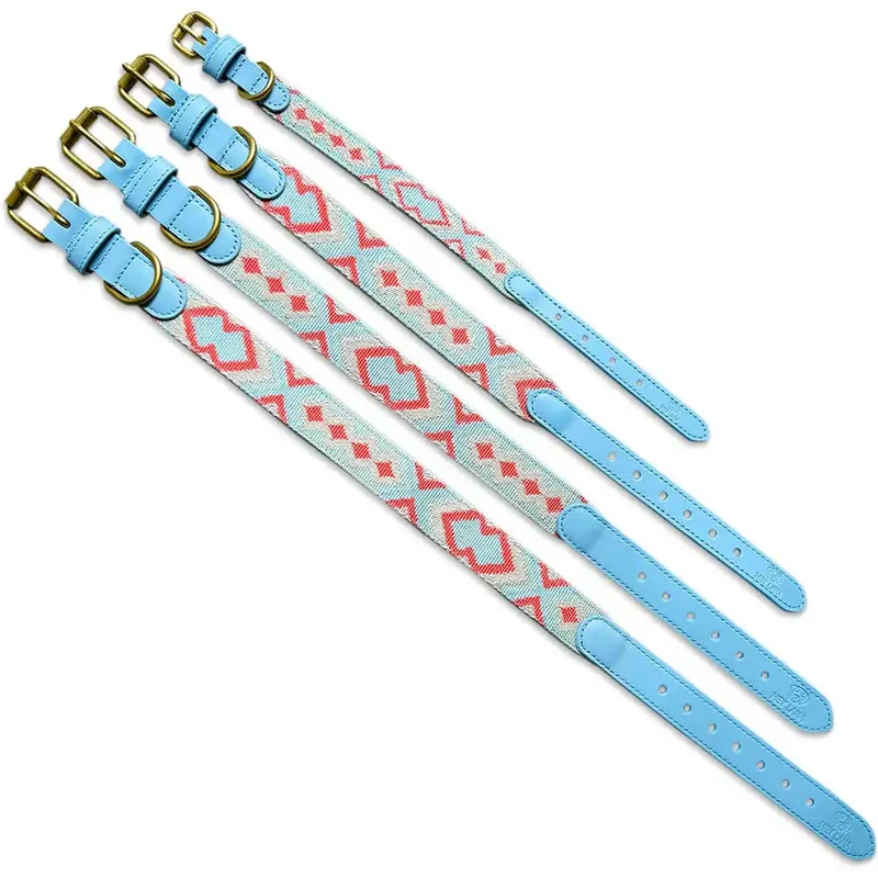 Hundehalsband, Coral/Blau
