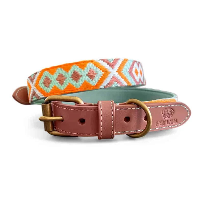 Hundehalsband, Mint/Orange