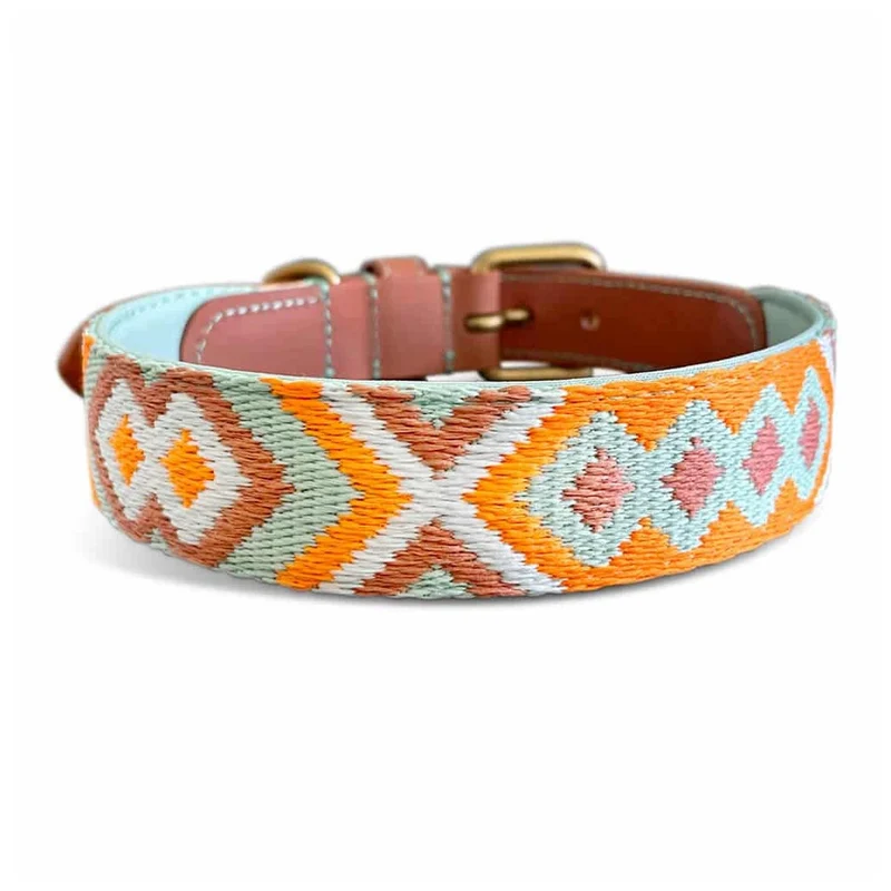 Hundehalsband, Mint/Orange
