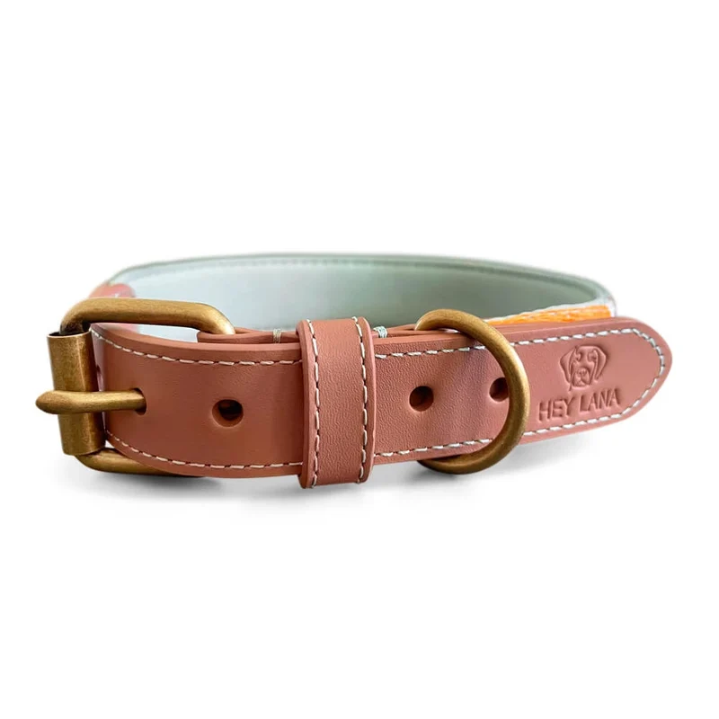 Hundehalsband, Mint/Orange