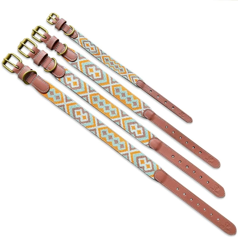 Hundehalsband, Mint/Orange