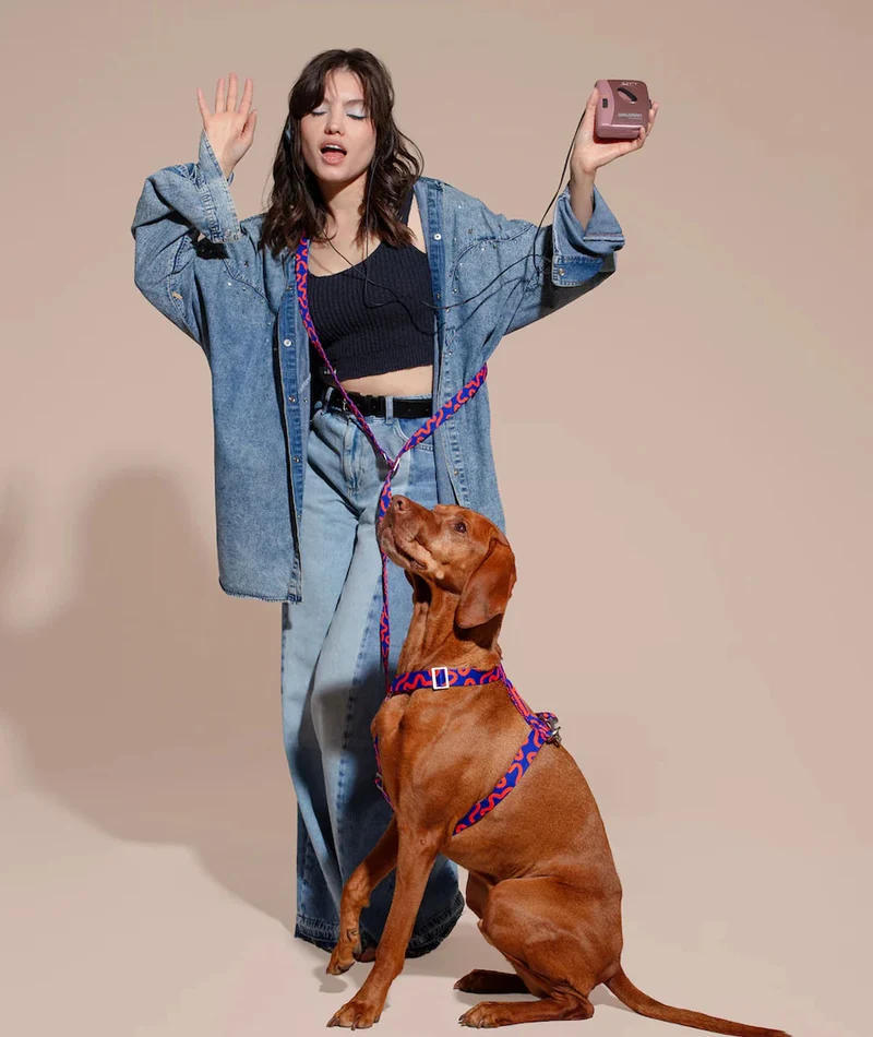 Hundeleine Hands-Free, Rocky Electric