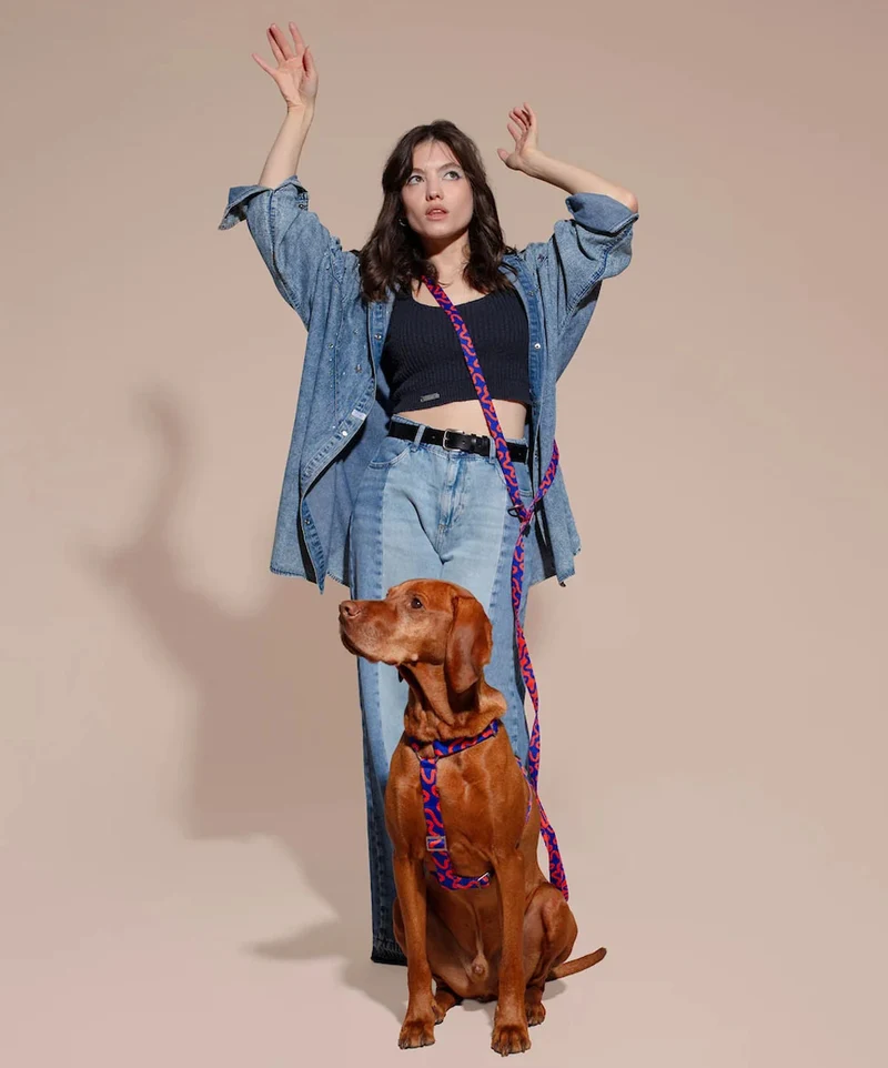 Hundeleine Hands-Free, Rocky Electric