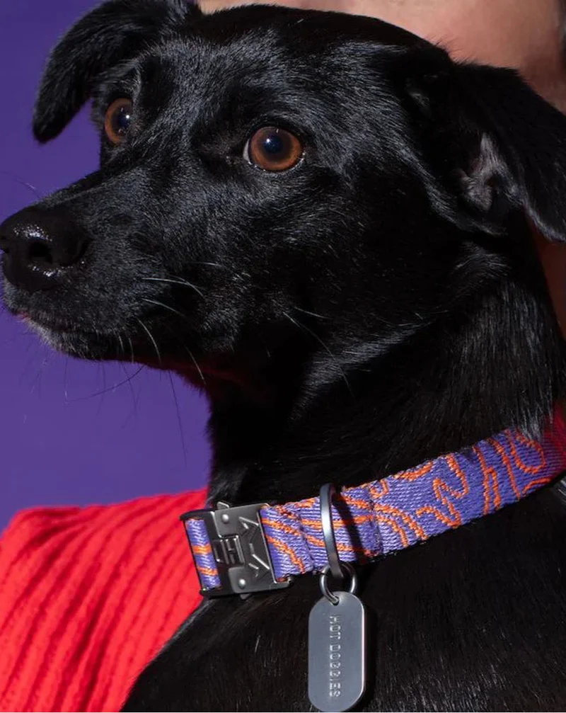 Hundehalsband, Lily Coral