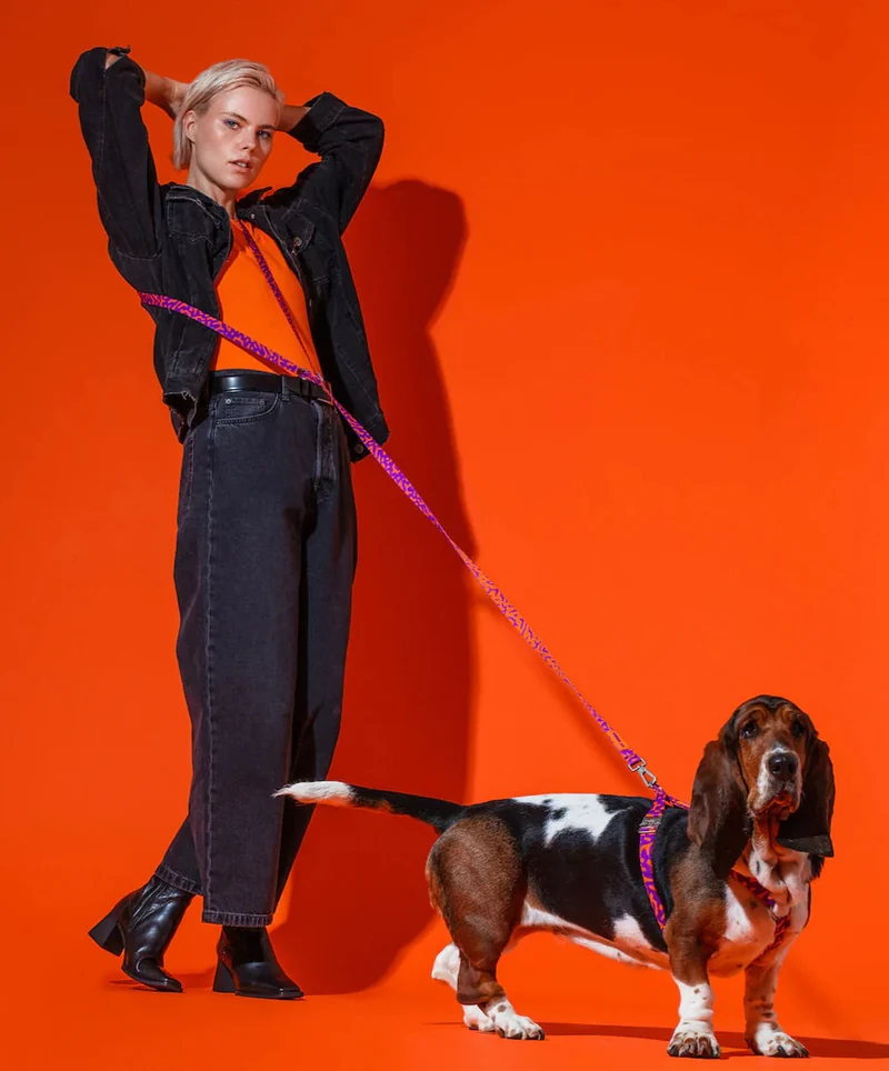Hundeleine Hands-Free, Poppy Sunrise