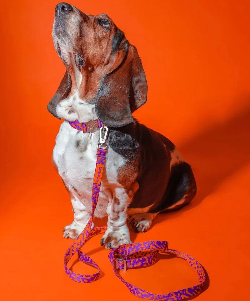 Hundeleine Hands-Free, Poppy Sunrise