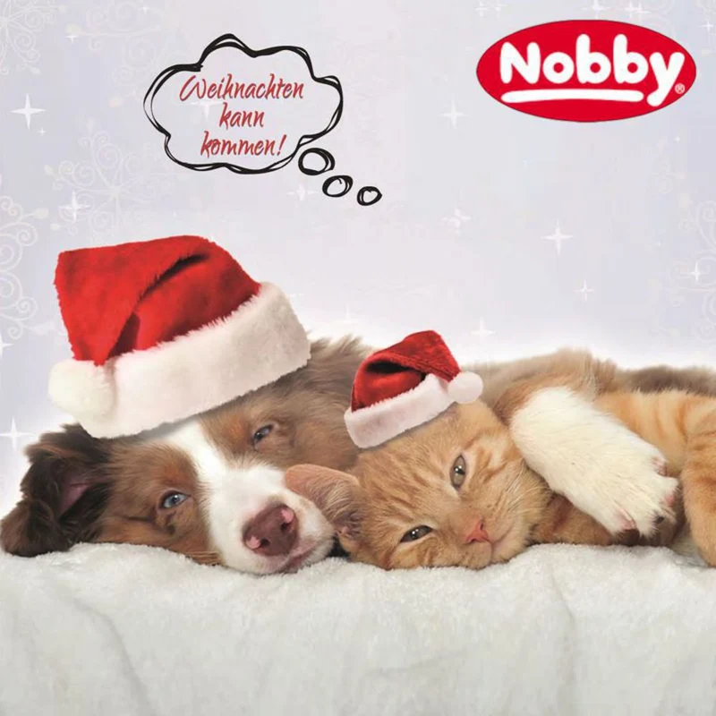 Nobby XMAS Plüsch-Hundespielzeug Ente DAGGI MINI - 13 cm Plüschtier Kuscheltier