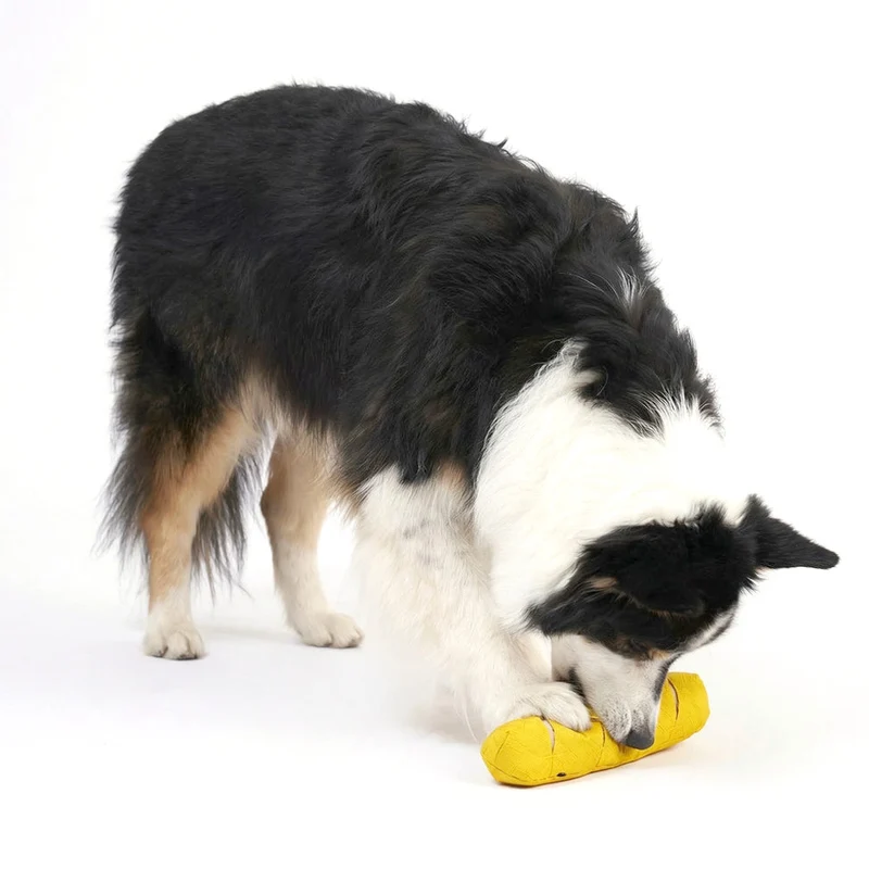 Hundespielzeug Baguette