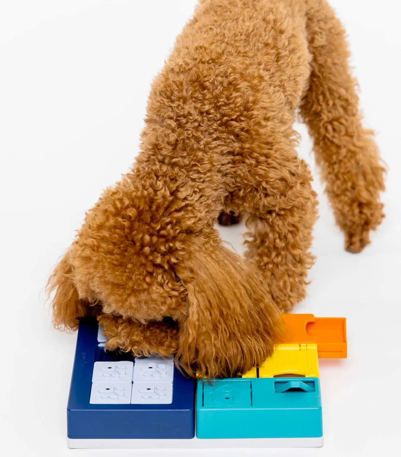 Dog Puzzle Smarty Set