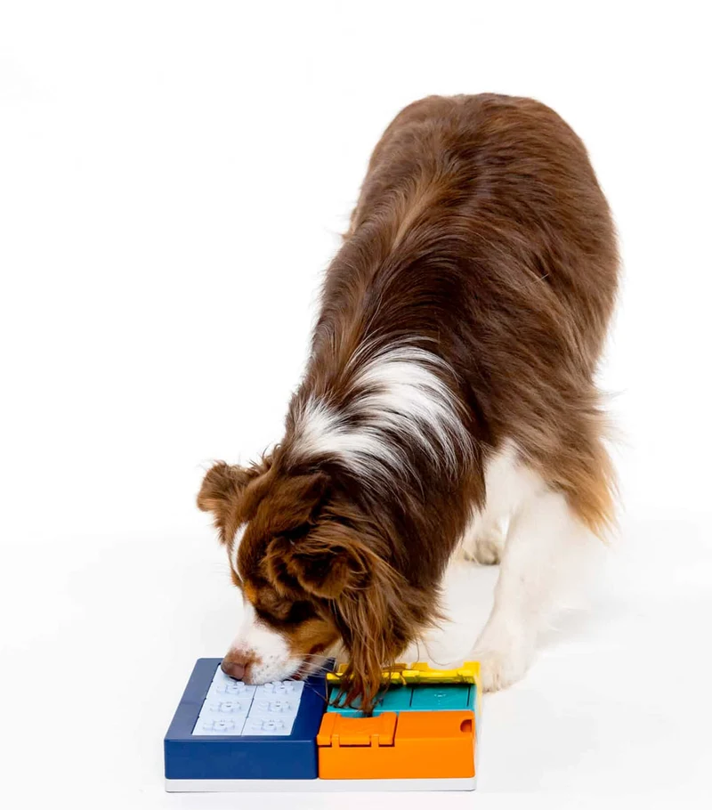 Dog Puzzle Smarty Set