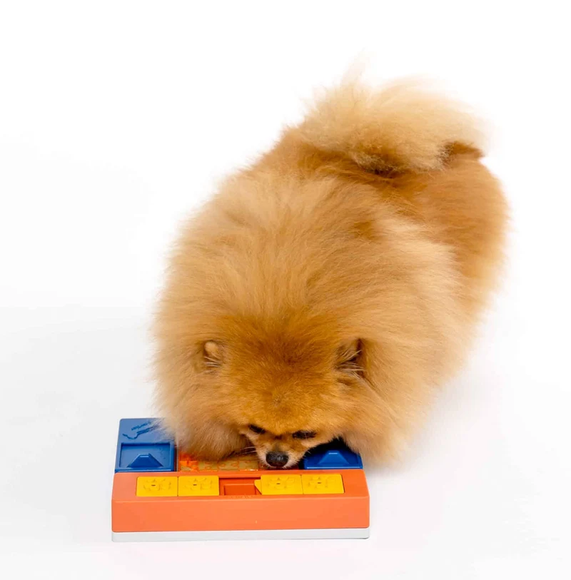 Dog Puzzle Beginner Set