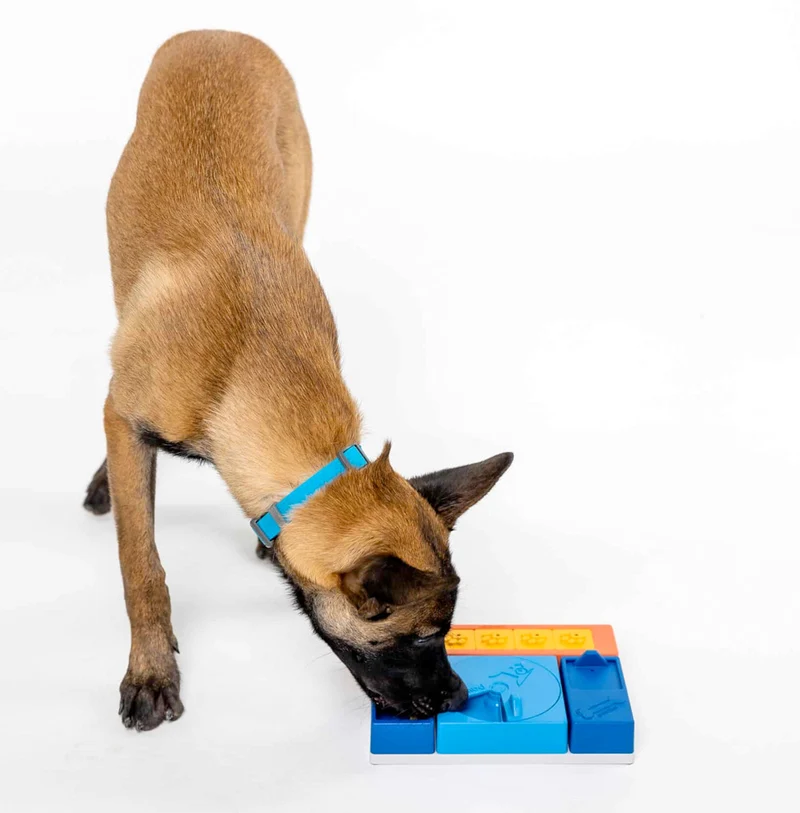 Dog Puzzle Beginner Set