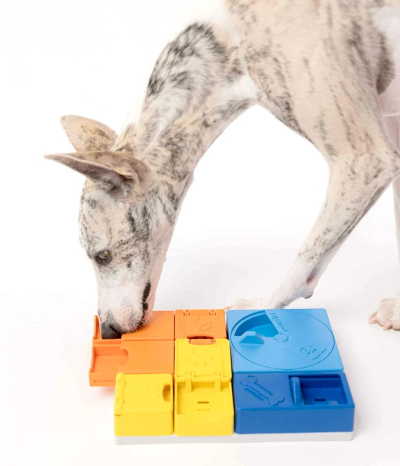 Dog Puzzle Rainbow Set