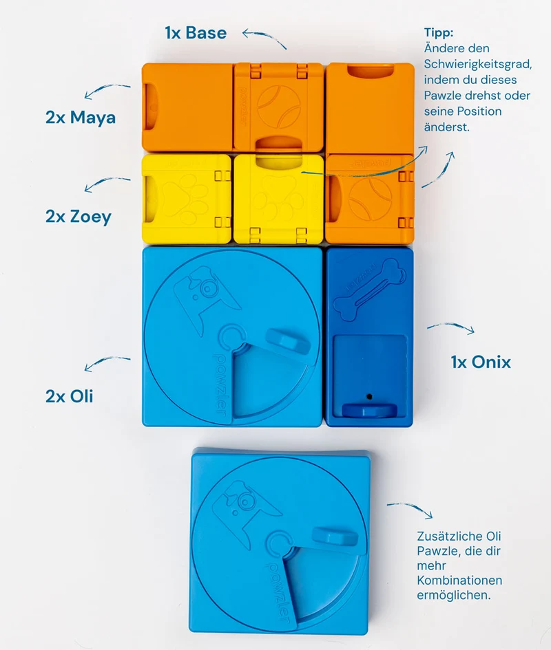 Dog Puzzle Rainbow Set
