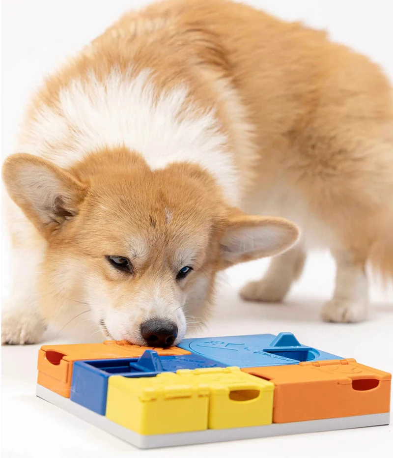 Dog Puzzle Rainbow Set
