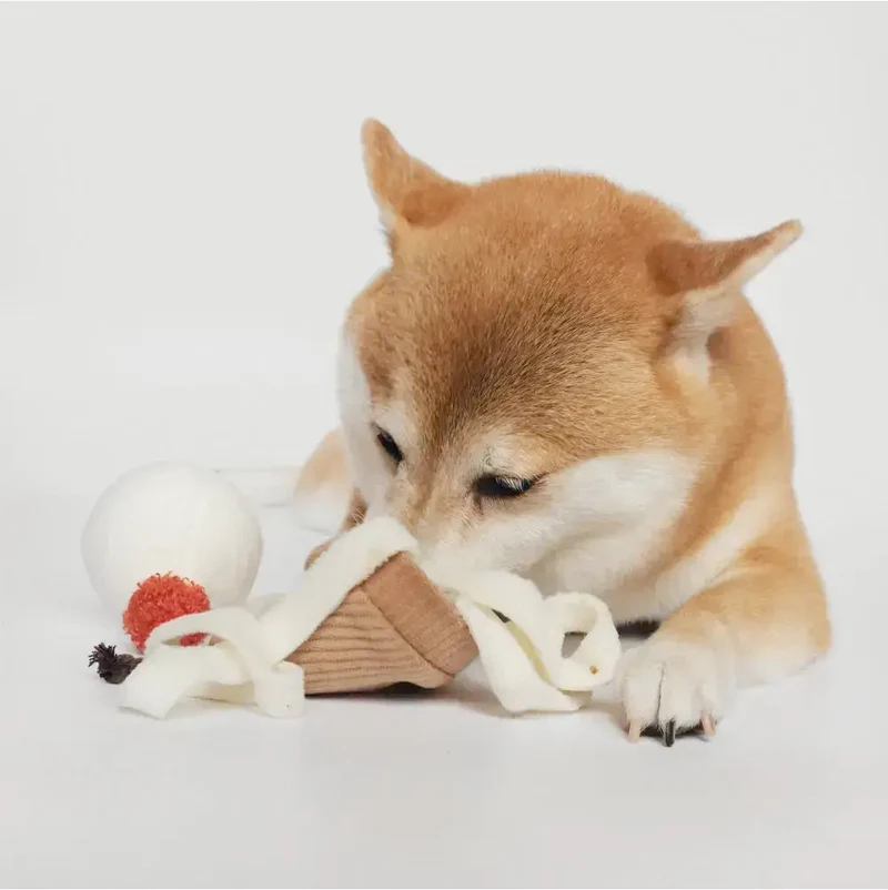 Schnüffelspielzeug ICE CREAM POP