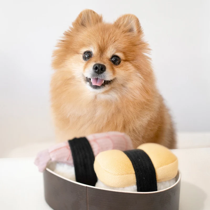 Schnüffelspielzeug SUSHI