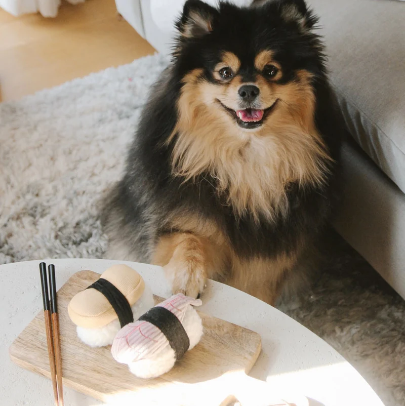 Schnüffelspielzeug SUSHI