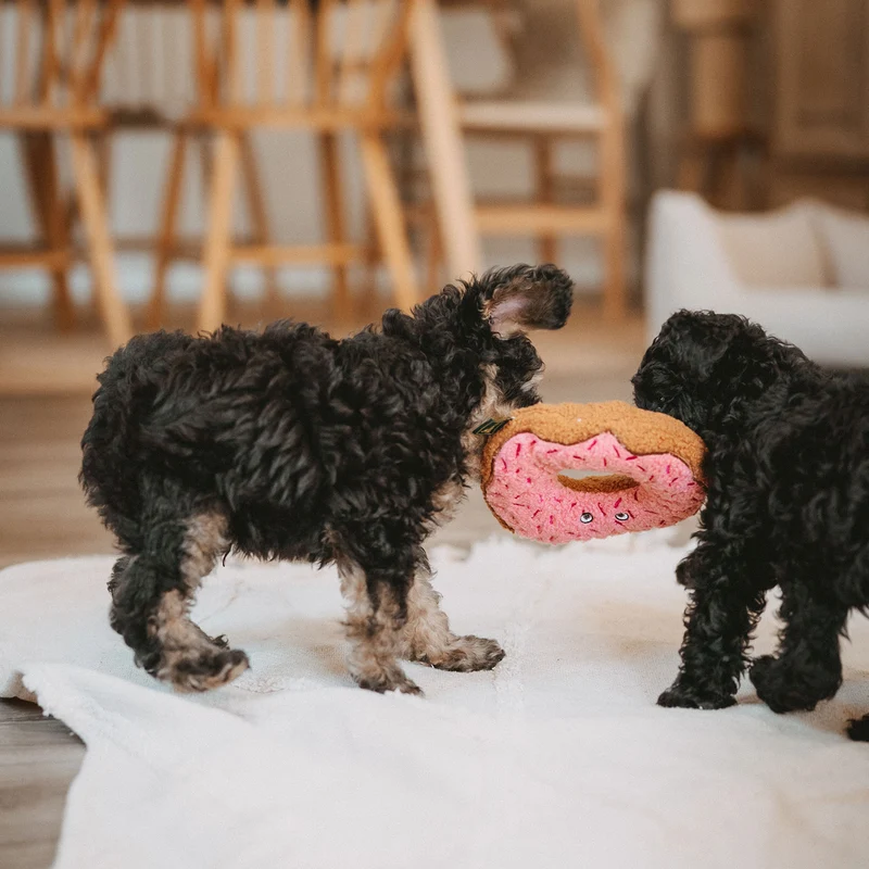 Hundespielzeug Belem