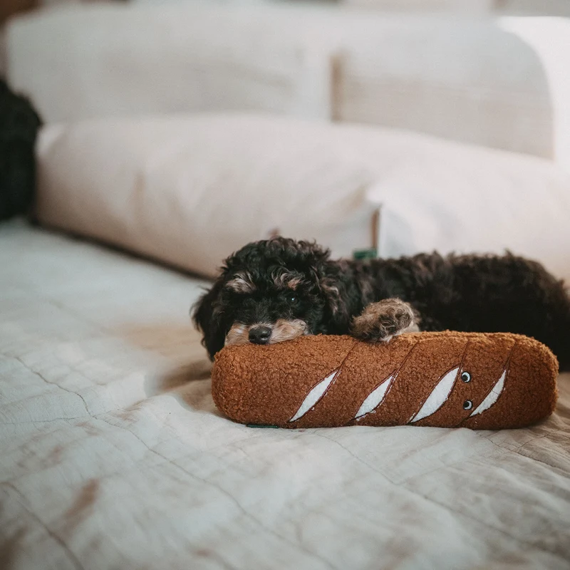 Hundespielzeug Belem
