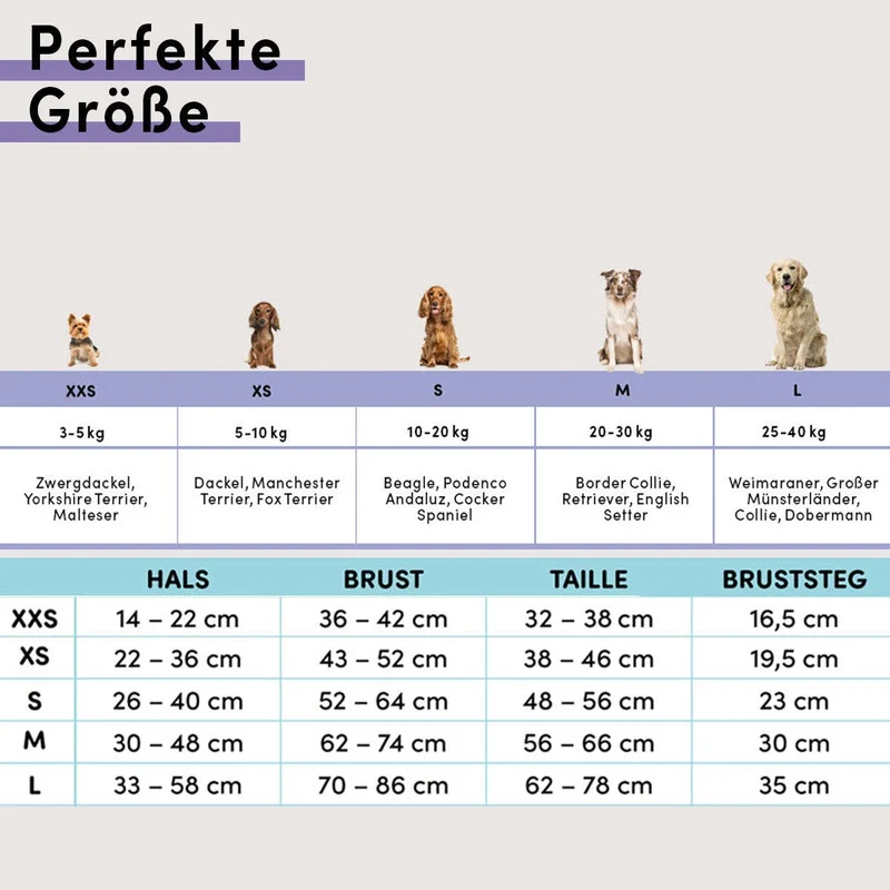 Hundegeschirr gepolstert | Beige