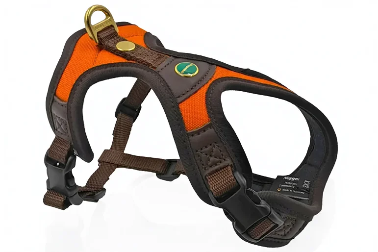 Hundegeschirr für Dackel – Orange | Follow Light XXS