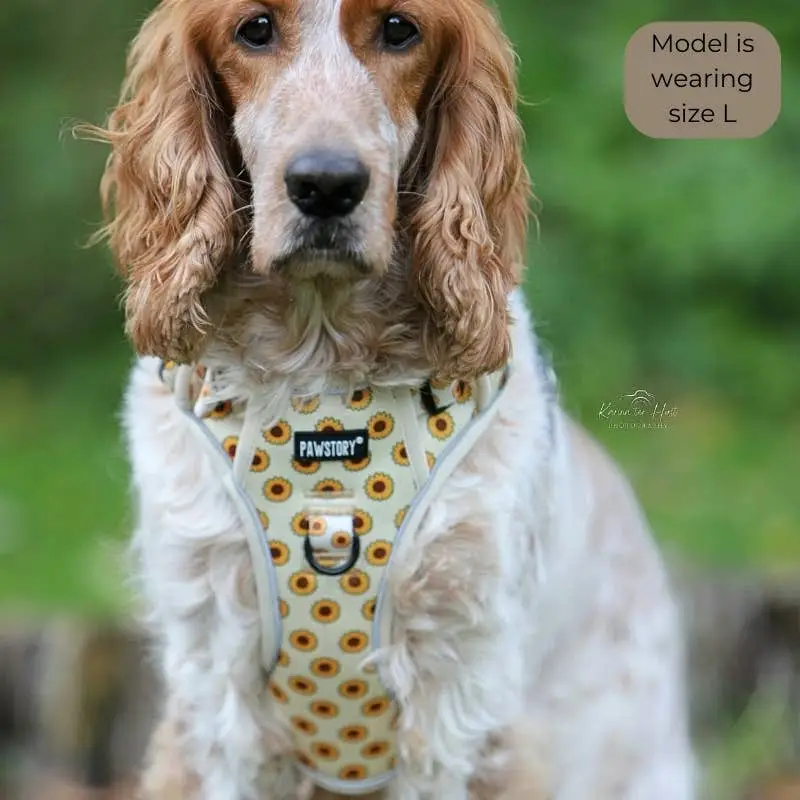 Hundegeschirr Trail Buddy | Sonnige Blüten