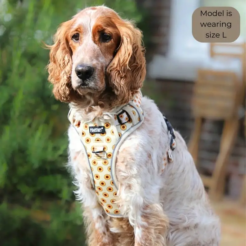 Hundegeschirr Trail Buddy | Sonnige Blüten