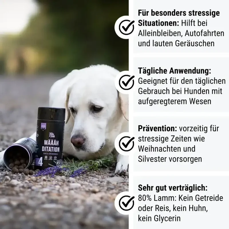 Beruhigungs Snack Hund | Määäditation