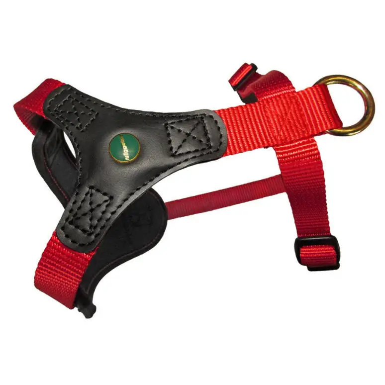 Hundegeschirr Rot | Follow Start
