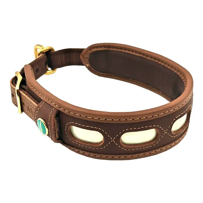 Hundehalsband mit Leuchtpower "Lichtblick" | Lederhalsung