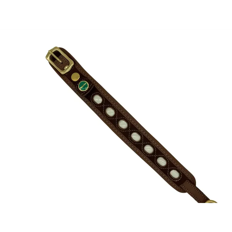 Hundehalsband mit Leuchtpower "Lichtblick" | Lederhalsung