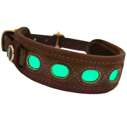 Hundehalsband mit Leuchtpower "Lichtblick" | Lederhalsung