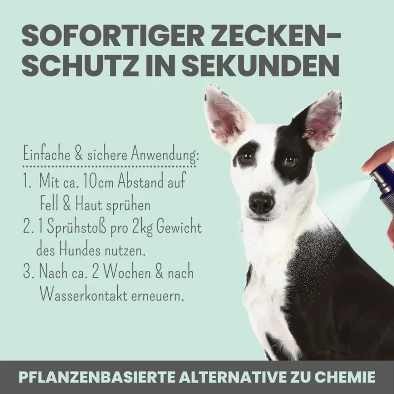 Zeckenspray für Hunde | Natürlicher Schutz mit Salidrin
