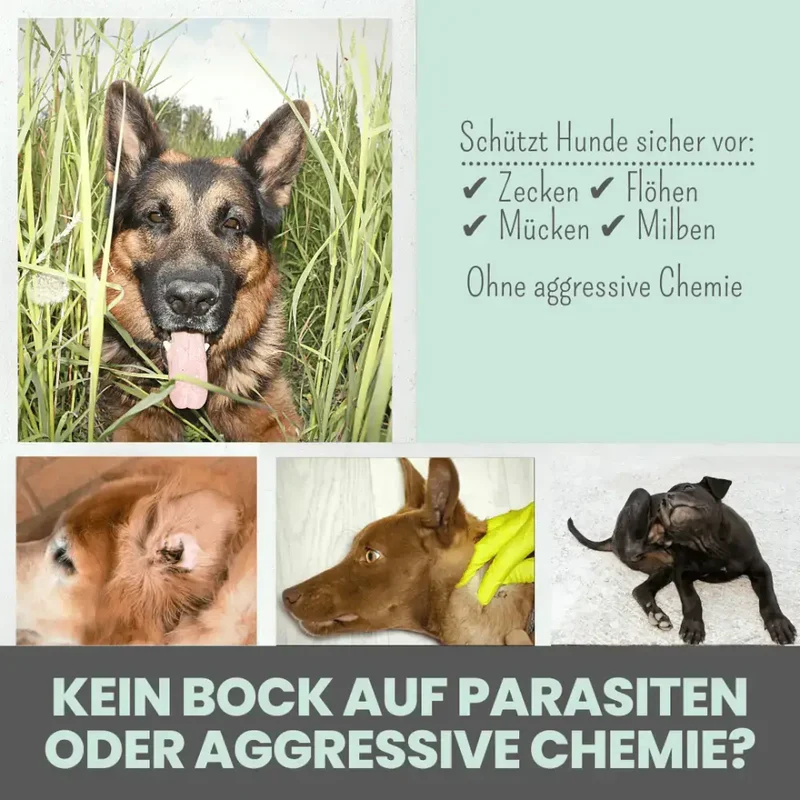 Zpot-on für Hunde | gegen Zecken, Flöhe, Milben & Mücken
