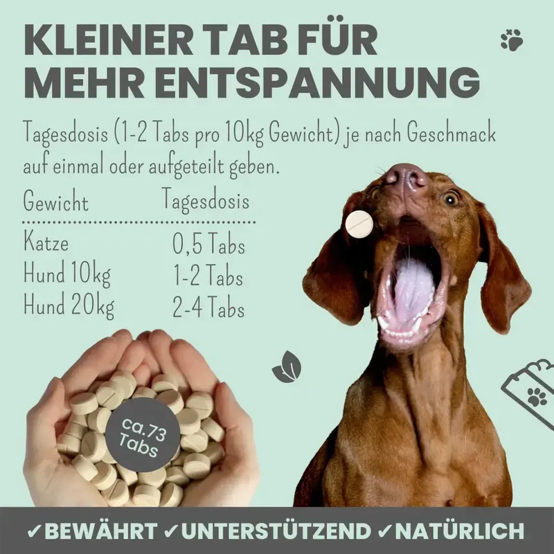 Wohlfühltabs Hund | bei Stress, Angst & Unruhe