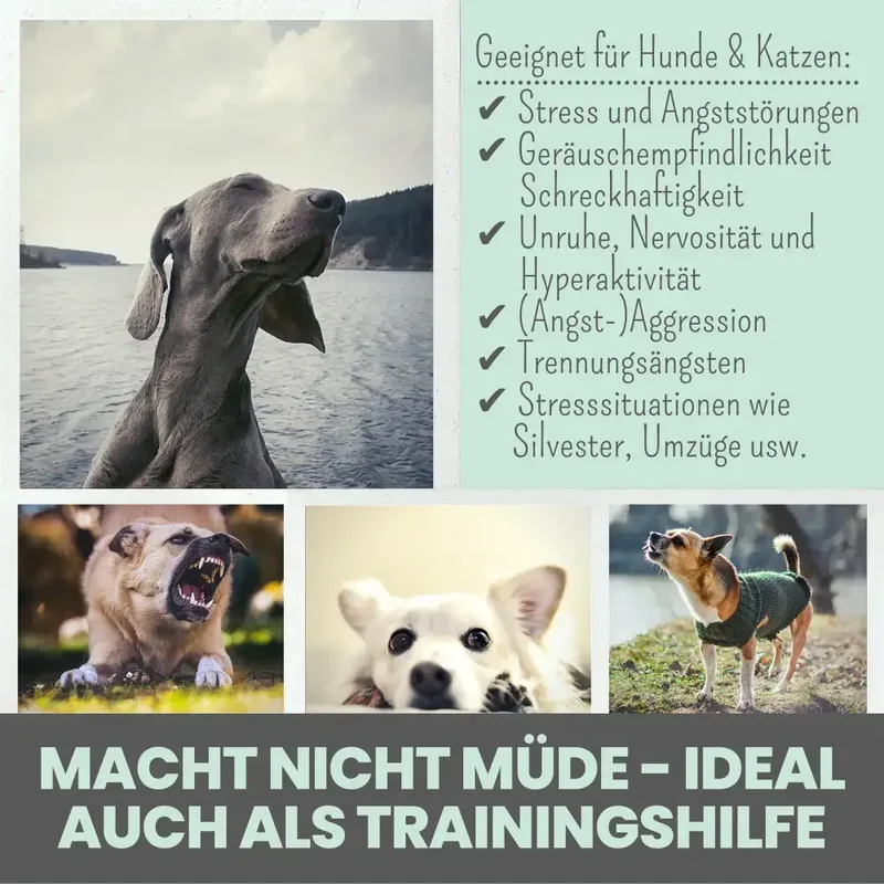 Wohlfühltabs Hund | bei Stress, Angst & Unruhe