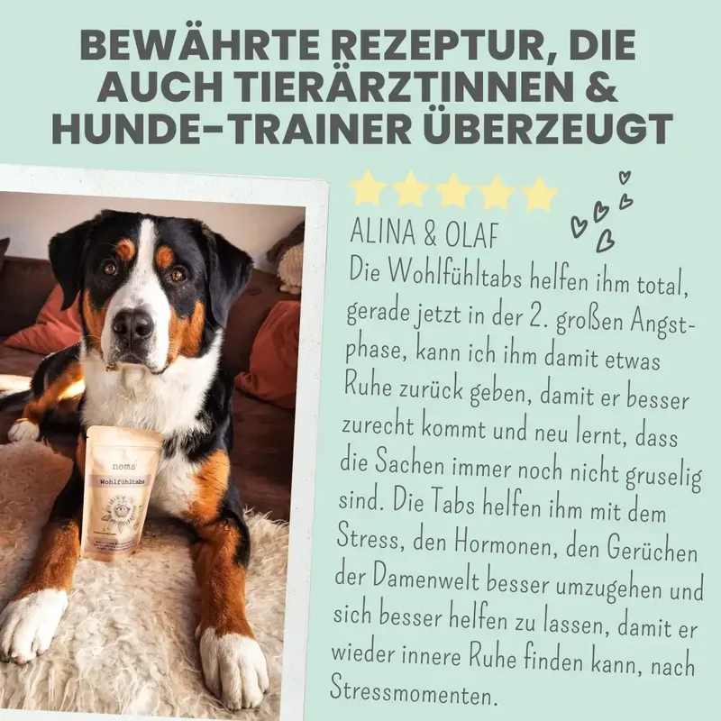 Wohlfühltabs Hund | bei Stress, Angst & Unruhe
