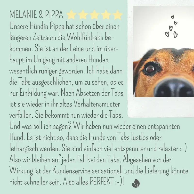 Wohlfühltabs Hund | bei Stress, Angst & Unruhe