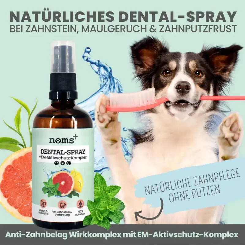 Dental-Spray Hund | Natürlich gegen Zahnstein