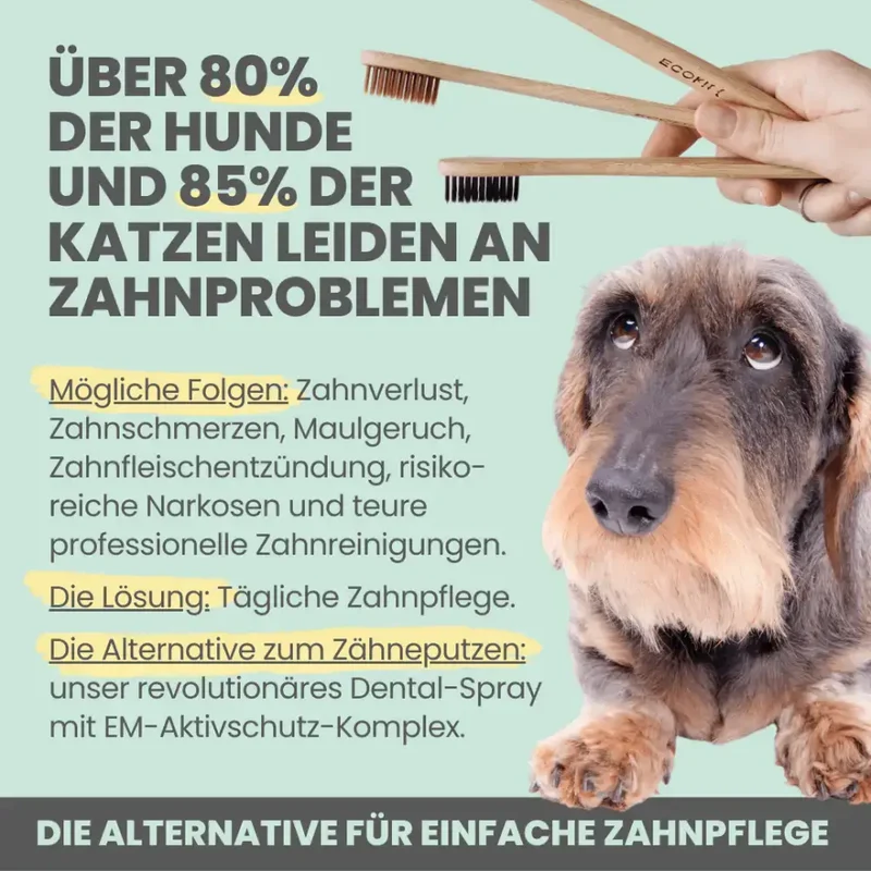Dental-Spray Hund | Natürlich gegen Zahnstein