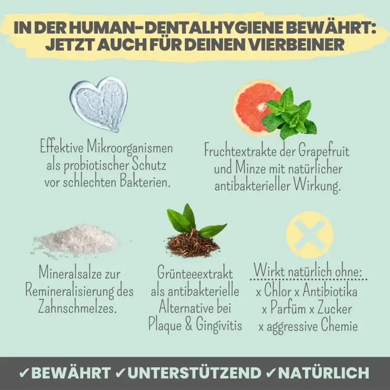 Dental-Spray Hund | Natürlich gegen Zahnstein